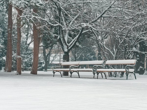 Santeetressourcesecologiques